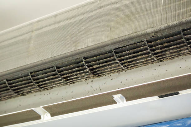Best Affordable Duct Cleaning Services  in Alva, FL